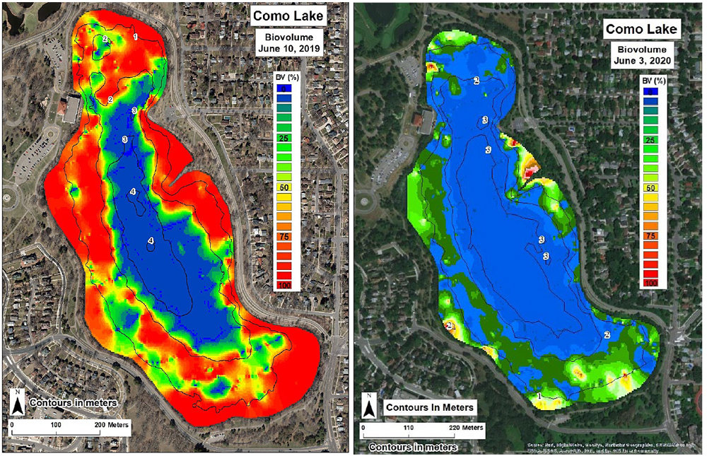 This biomass illustration, which compares 2019 (left) with 2020, shows the improvement in eliminating curly-leaf pondweed (which is red). (Courtesy of Capitol Region Watershed District)