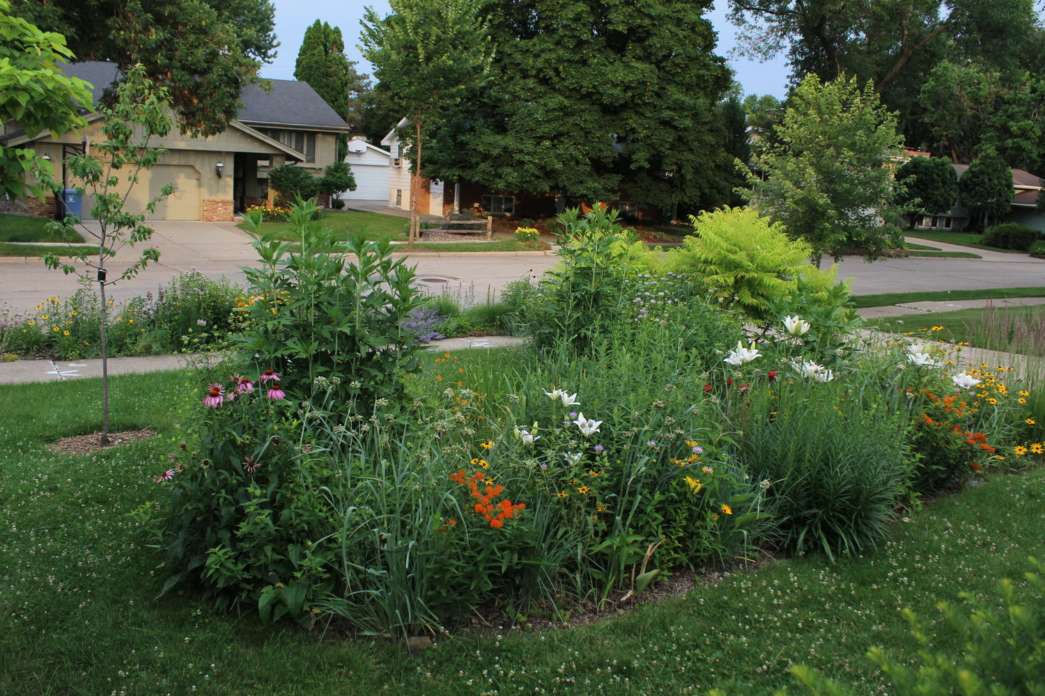 Rain gardens help hold water on site. They're a beautiful way to keep water clean.