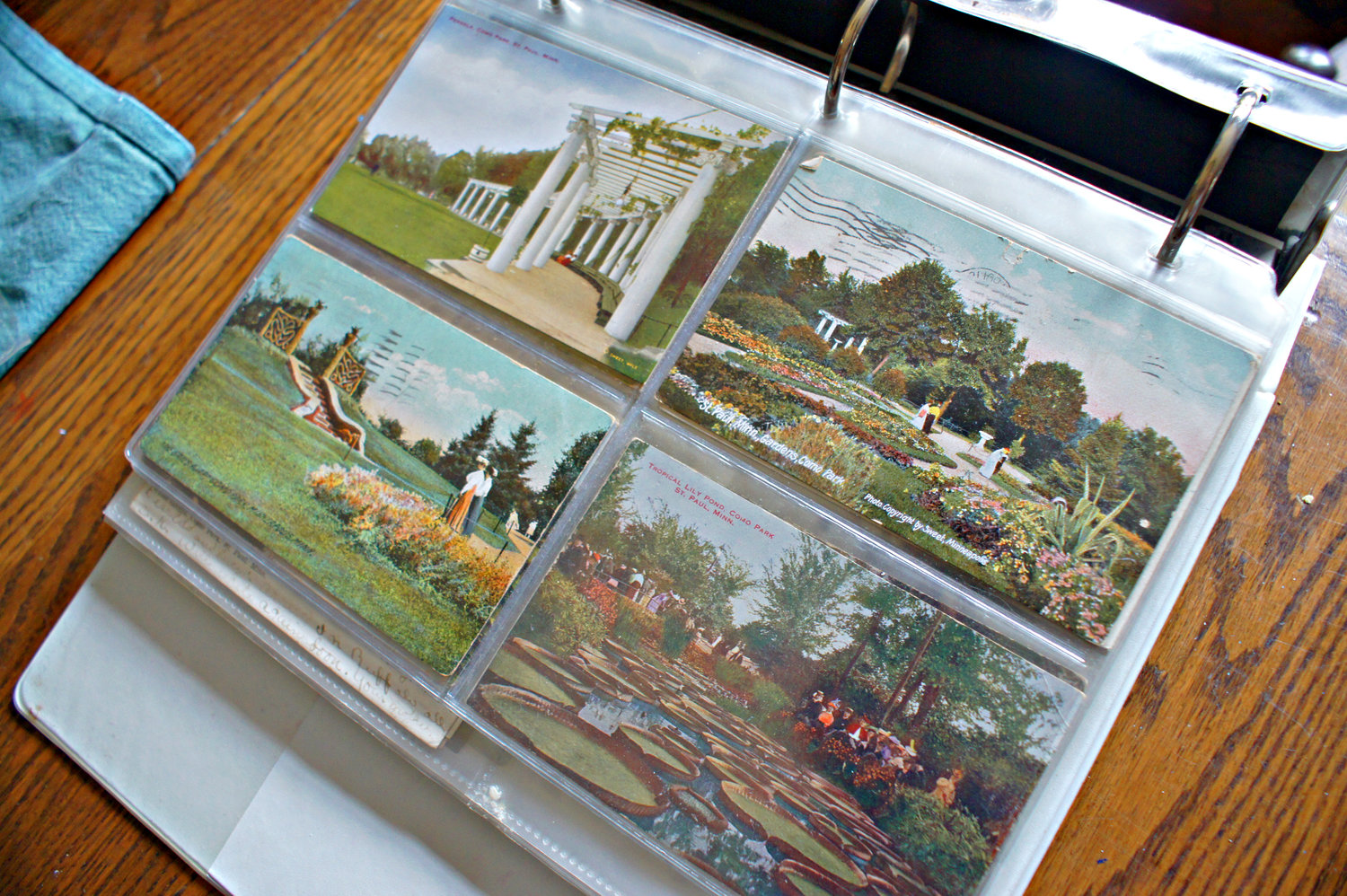 Robin Sherritt won a Minnesota State Fair prize for her post card collection of Como Park. (Photo by Terry Faust)