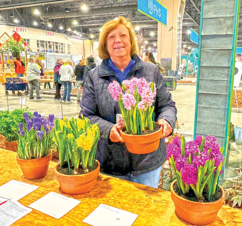 Karen Wychock, chair of this year’s 95th GCFP Convention, displays her floral arrangements from the 2024 Philadelphia Flower Show.