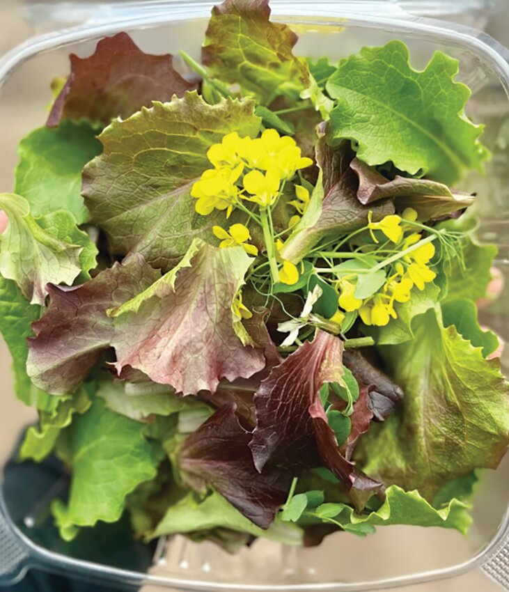 Rolling Hills Farm’s seasonal salad mix