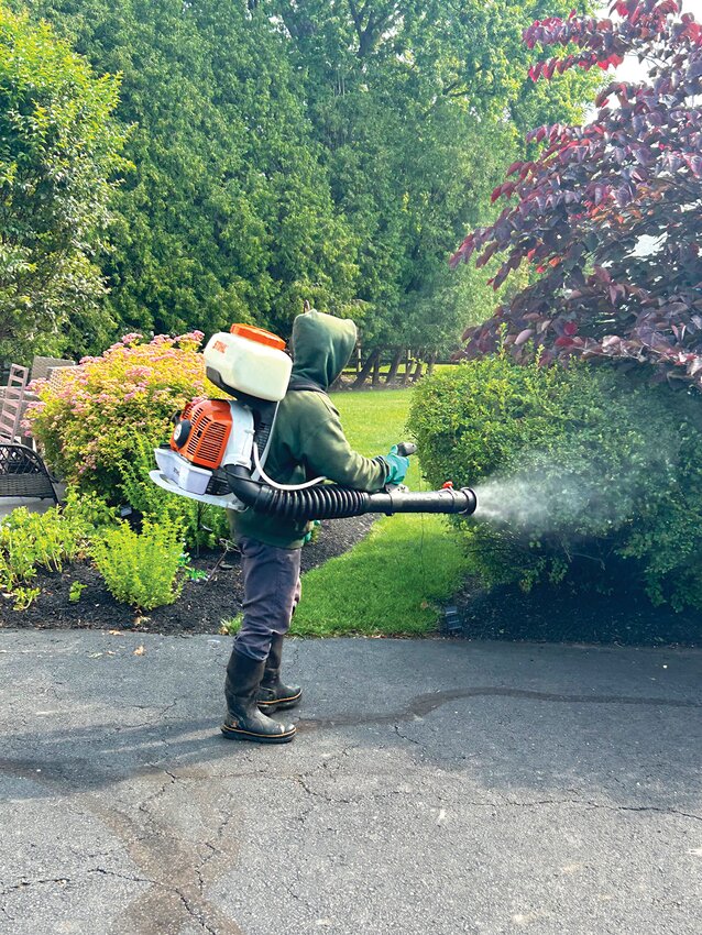 Application of flea, tick and mosquito treatment.