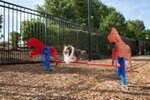 BarkPark