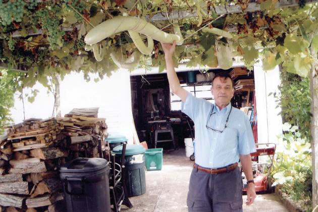 Jack Condinho of Riverside and his Snake Gourds.