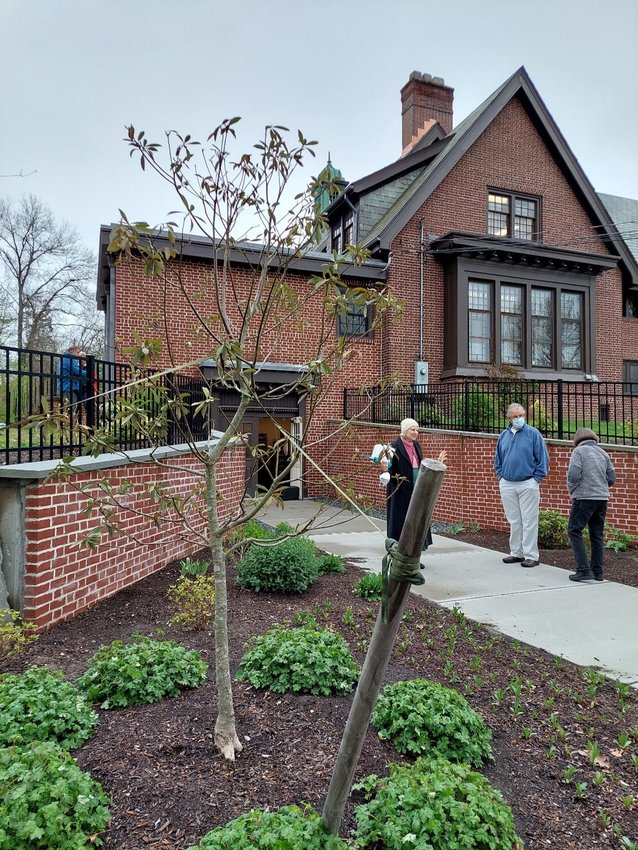 Susan McIlwain (Rehoboth Garden Club Chair of the Civic Beautification committee) speaking with Wayne Taylor (Rehoboth Antiquarian Society Treasurer) at the Blanding library walkout with new plantings, including a Virginia magnolia tree in the foreground underplanted with perennial geraniums.