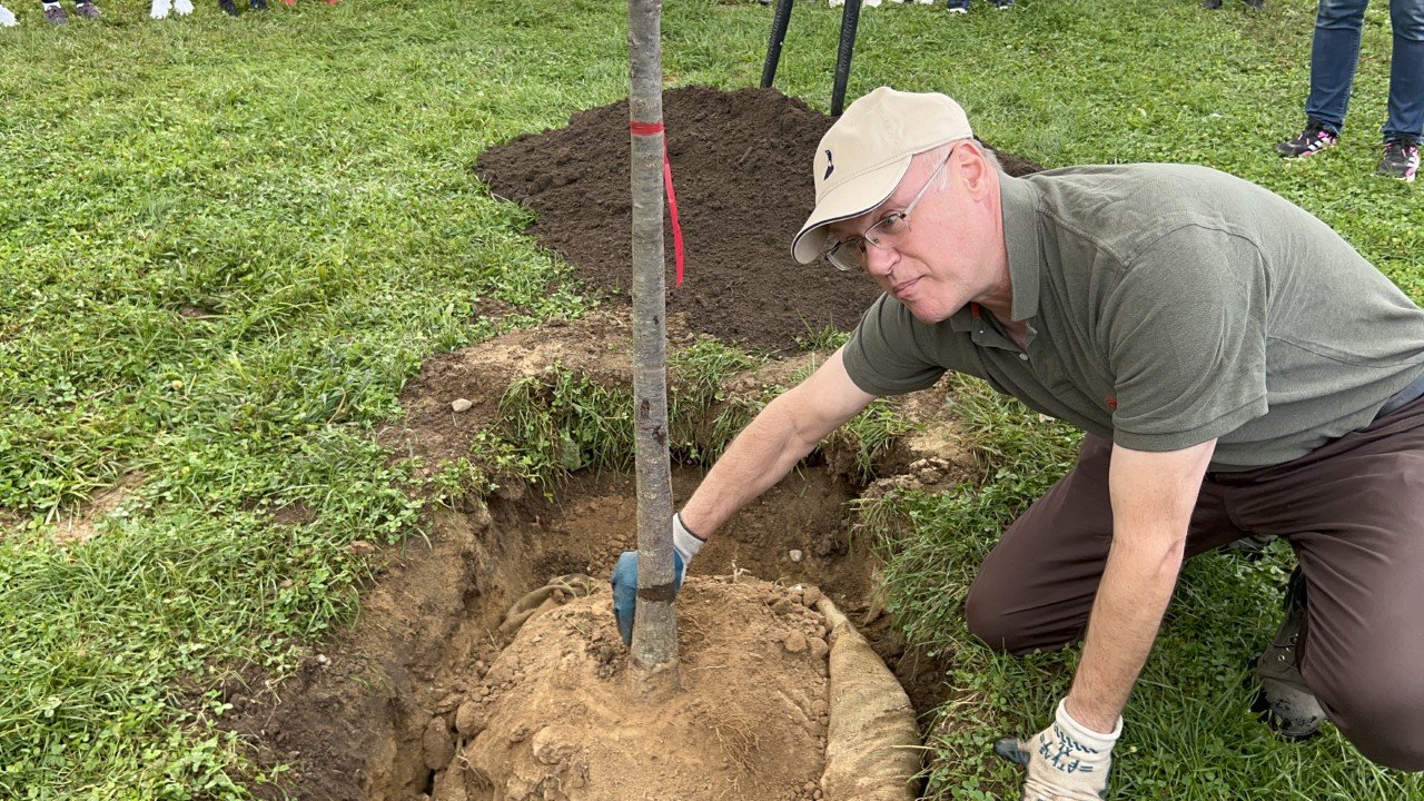 Doug Still, principal of This Old Tree Consulting, teaches students how to dig out the tree's flare before planting.