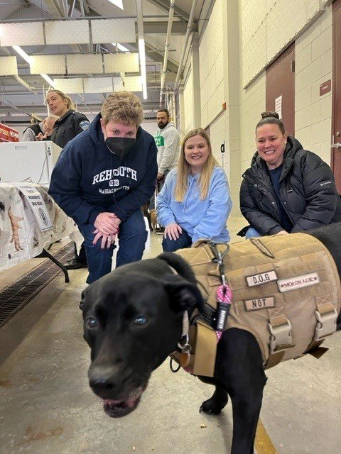 Included in picture, from left, are Rehoboth Town Clerk Laura Shwall, Kerrie Perkins - Assistant Town Clerk (Rehoboth), Jennifer Hose - Administrative Assistant to the Town Clerk (Rehoboth), and Carolina our dog. We attended the one stop shop event for rabies shot and dog license renewal.