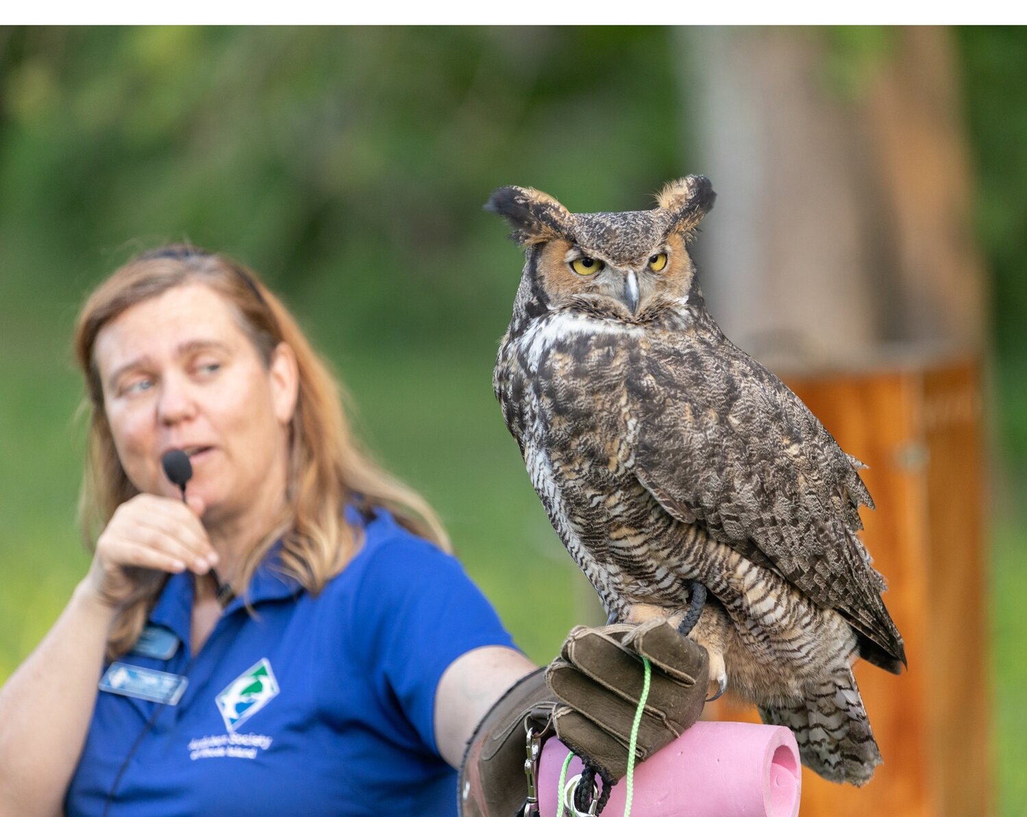 Audubon Educator Tracey Hall presents a Great Horned Owl