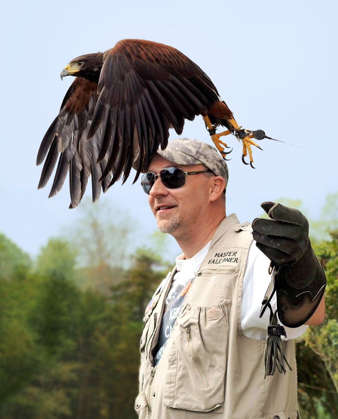Falconer Gregory Wojtera with a Harris’s Hawk, Photo credit courtesy of Gregory Wojtera
