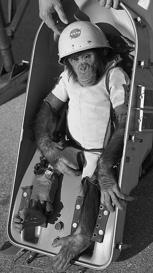 Ham the Astrochimp, the first hominid launched into space, to be featured on N.C. Highway Historical Marker