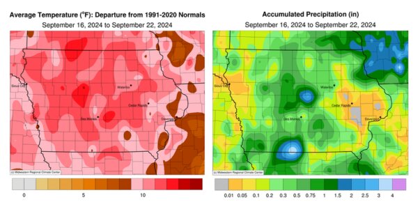 Crop Report - Sept. 16–22, 2024