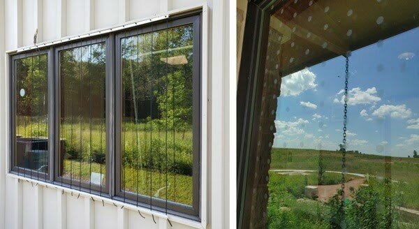 Windows with parachute cord blinds (left) or ultraviolet tape (right) can help prevent bird window collisions.