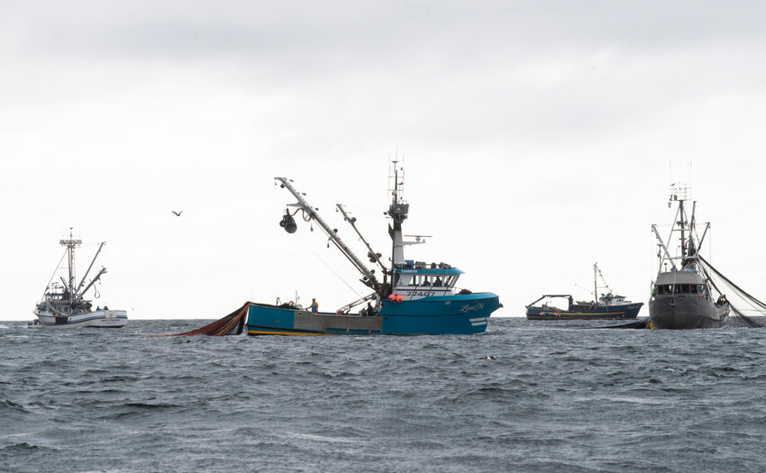 Seiners and tenders take part in the 2024 Sitka Sound sac roe herring fishery.