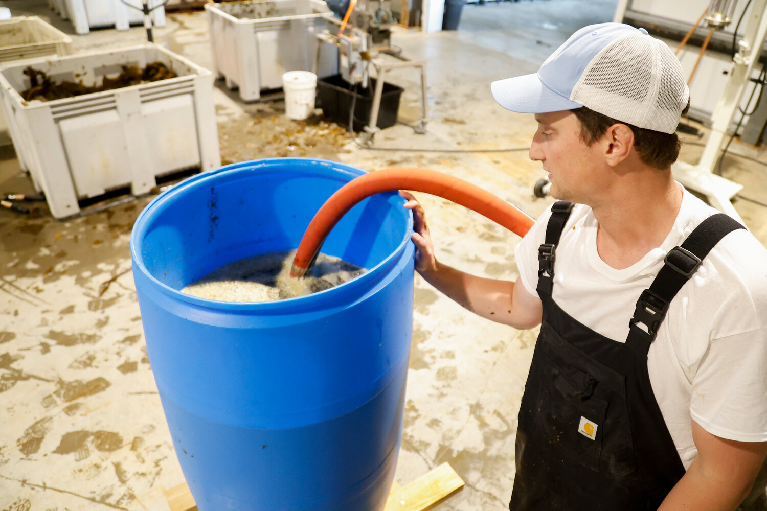 Kelp Co. Boosts Mariculture in SE - Daily Sitka Sentinel