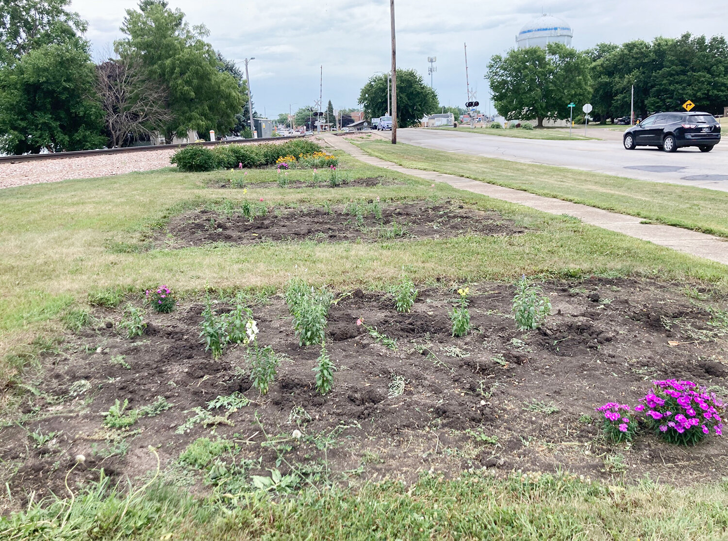 The flowers disappeared. People noticed.Citizens took action