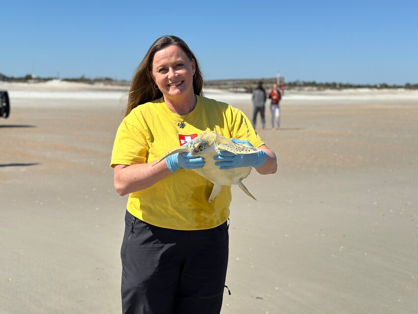 South Carolina Aquarium celebrates milestone by releasing 400th sea turtle, Jim