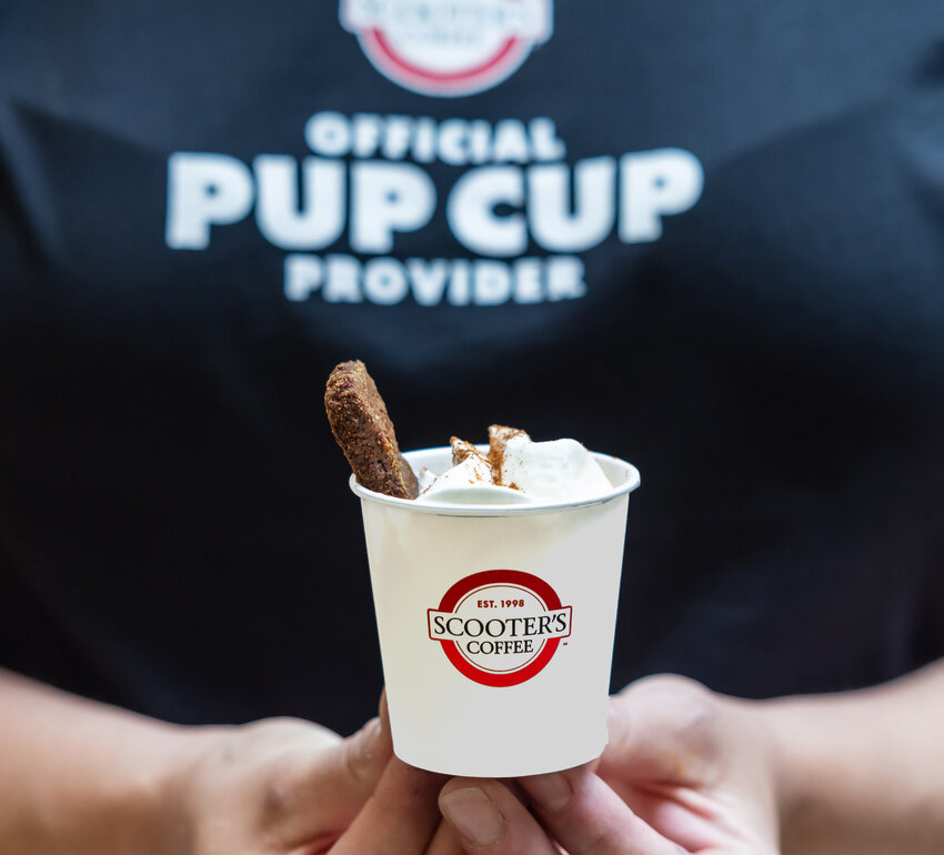 A free, fall-inspired Pumpkin Spice Pup Cup made up of all dog-friendly ingredients is ready for your dog at four Valley locations on Saturday.