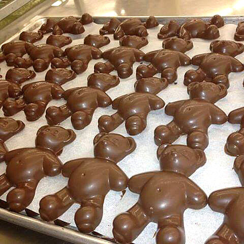 Hands-on activities at Teddy Bear Day will include decorating a chocolate bear at Cerreta Candy Company.