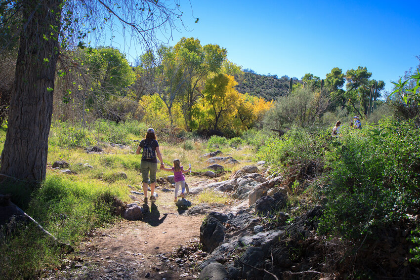Guests hike Jewel of the Creek Preserve in Cave Creek.