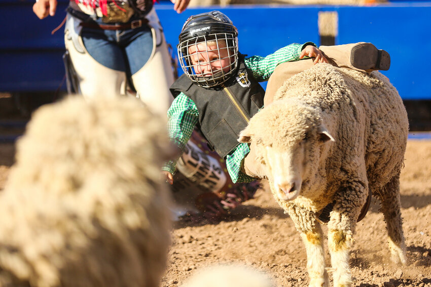 Those competing in the mutton bustin’ event after the rodeo Feb. 24 will be required to wear a vest and provided helmet. Children are allowed to use their hands to hold on but no spurs, straps or other devices will be allowed. (Special to Independent Newsmedia, Arianna Grainey)