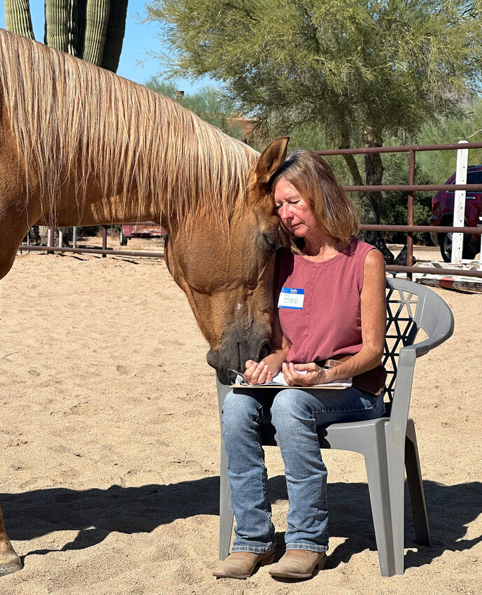 The Horse Meditation Circles in Cave Creek are open to women of all ages and backgrounds, with no prior experience with horses or meditation required. Each session is crafted to provide a safe and supportive environment for personal growth and exploration.