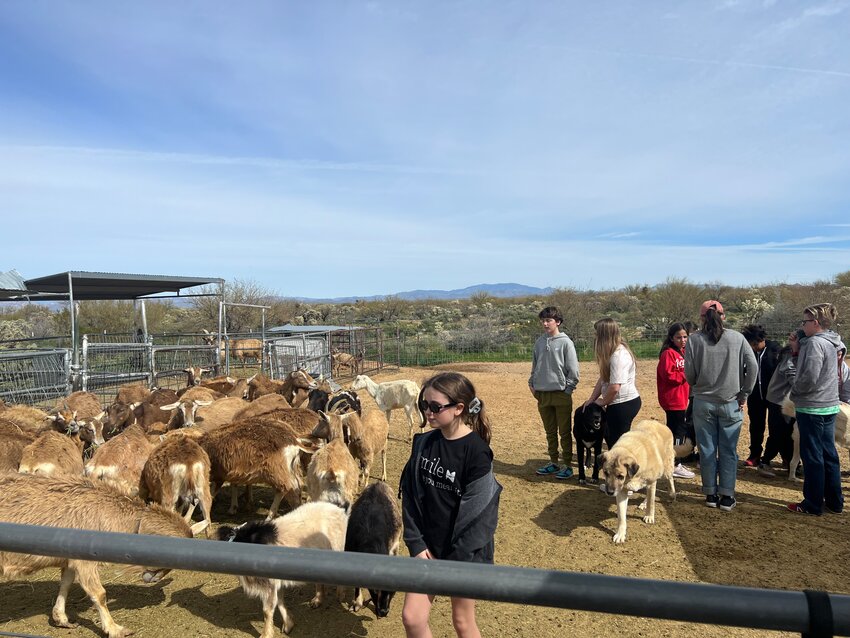 The group of middle schoolers and teachers take the tour of Toggenburg Goats of Arizona, along with Bob Eaton from the goat farm.