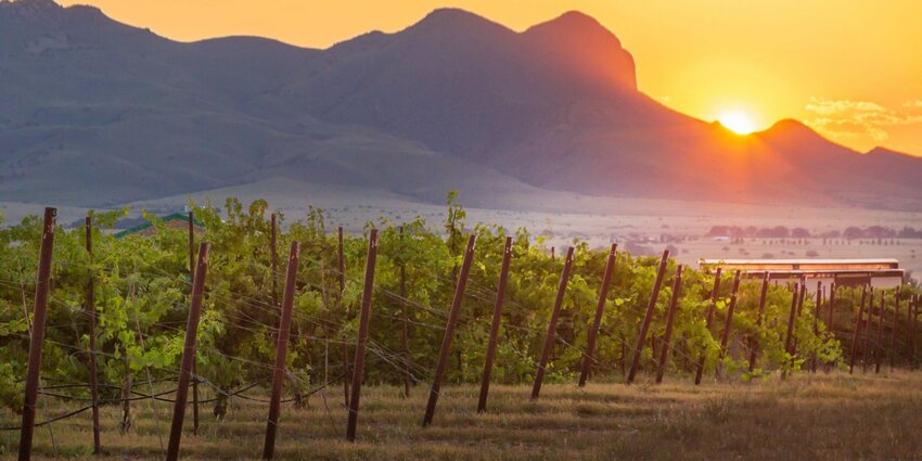 The sun sets over Kief Joshua Vineyards in Willcox, Ariz.