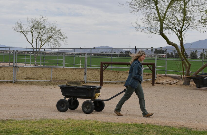 Tammy Tomich manages the property she uses for equine assisted learning.