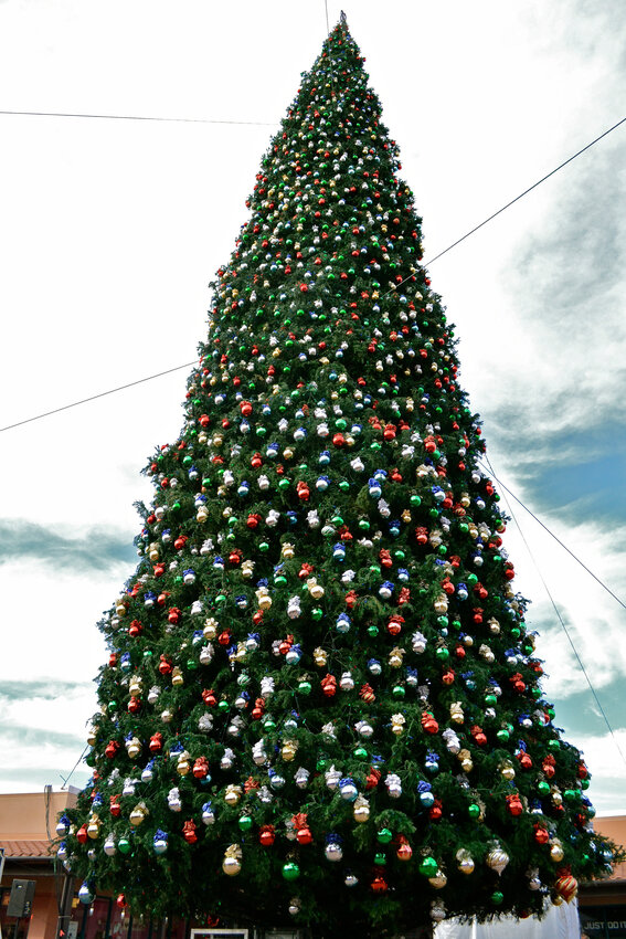 Here’s when the Anthem outlets Christmas tree will arrive Daily