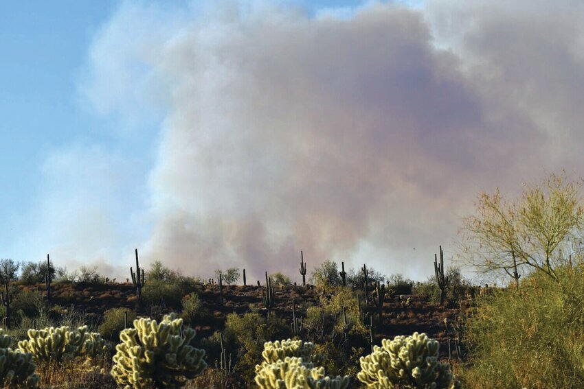 Verdes volunteers help prevent wildfire | Fountain Hills Times