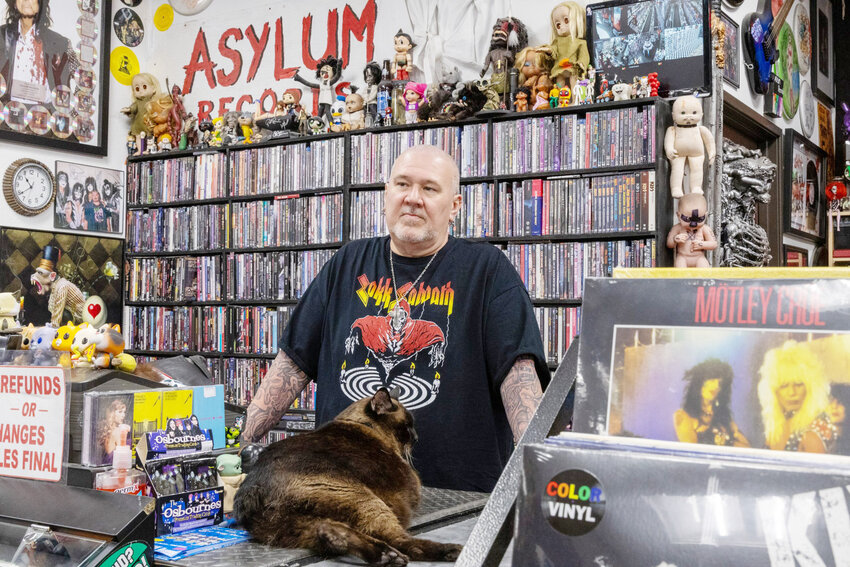 Scott Robenalt, owner of Asylum Records, and the store cat, Hopper, watch over the storefront in Chandler. Robenalt said the experience of going into a store and thumbing through records is an experience like no other.
