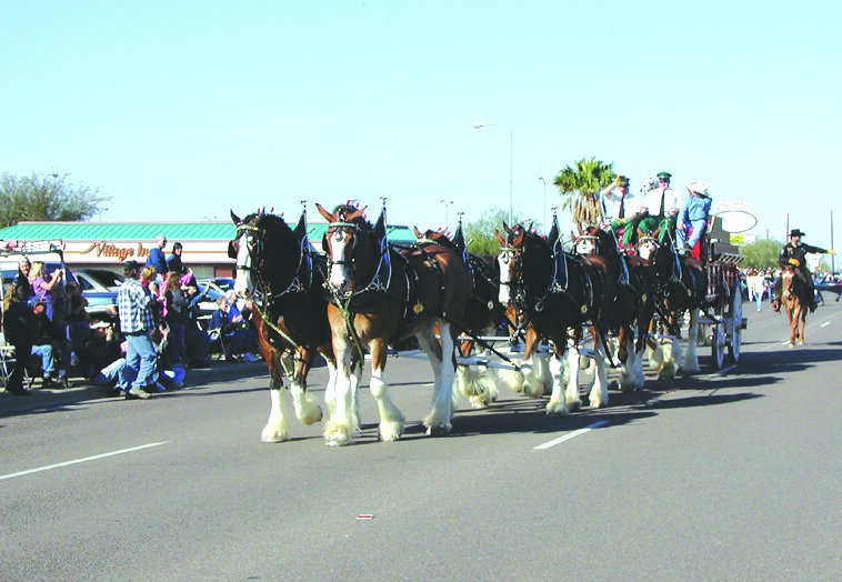 The Budweiser Clydesdales at the Lost Dutchman Days parade sometime in the 2000s.