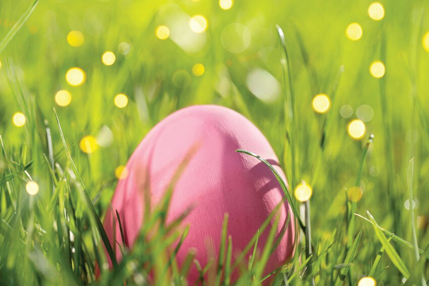 Egg hunters are invited to grab a basket and join the search for candy and toy-filled plastic eggs at the city&rsquo;s Eggstravaganza event on Saturday, March 30 at Surprise Stadium, 15850 N. Bullard Ave.