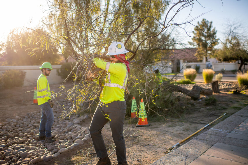 SRP crews and contractors removing trees that pose a threat to overhead power lines in Tempe in 2019.