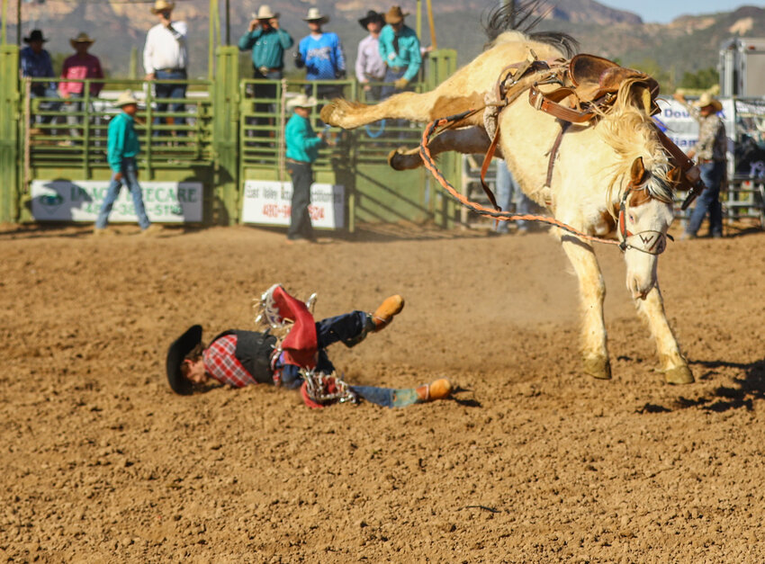 The Lost Dutchman Days Rodeo was recently held in Apache Junction. This is action from the 2017 rodeo.