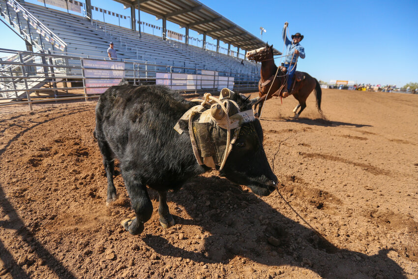 The Apache Junction Rodeo Grounds, 1590 E. Lost Dutchman Blvd., includes stadium seating.