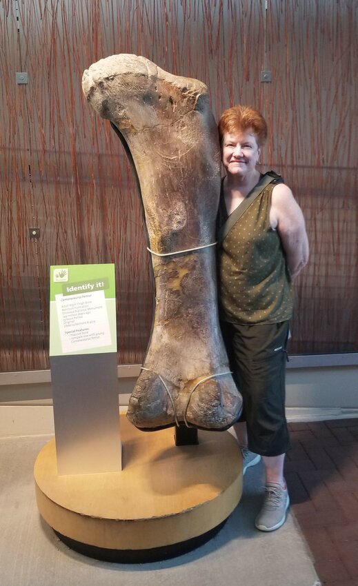Darla Roberts is a dinosaur enthusiast who has participated in three different dinosaur digs in the Badlands of the United States. She will bring dinosaur fossils in a presentation at the Fountain Hills Library March 23.