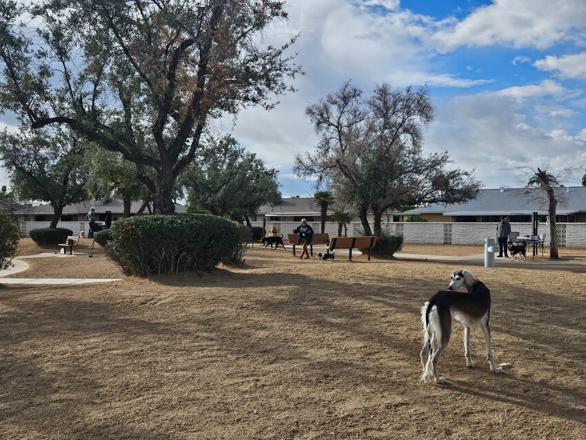 The status of Duffeeland Dog Park appeared to have been resolved at the Recreation Centers of Sun City Exchange meeting March 11.
