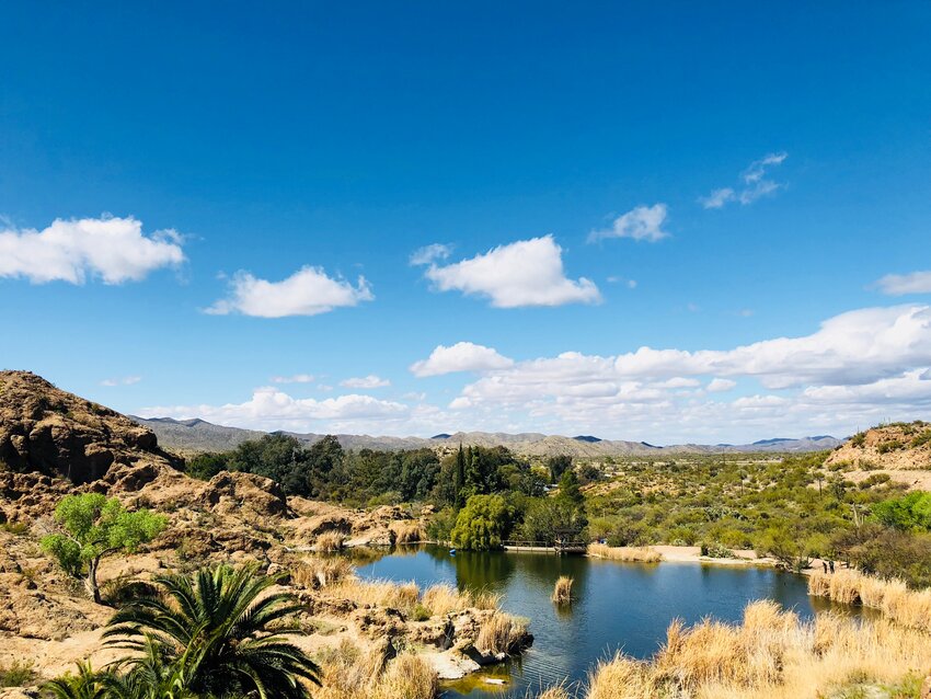 Boyce Thompson Arboretum is just one of the Valley attractions available to visit free with an Act One Culture Pass.