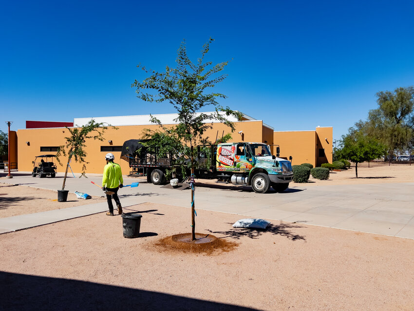 The trees were delivered to Apache Junction High School, 2525 S. Ironwood Drive, on Monday, April 15.