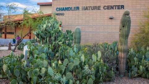 A free listening session on teen violence and behavioral health will be held from 5:30 p.m. to 7 p.m., Monday, April 29, at the Chandler Nature Center, 4050 E. Chandler Heights Road.