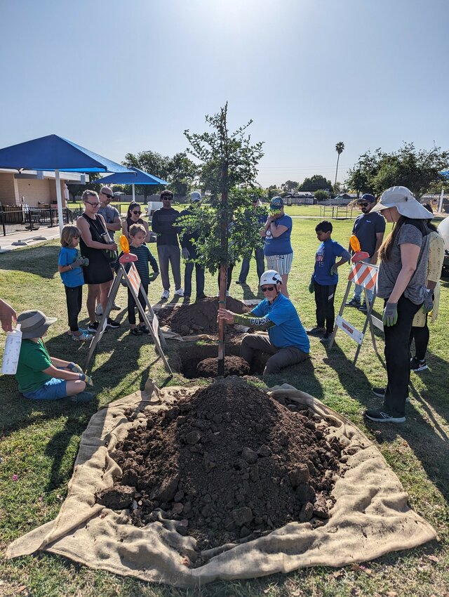 Keep Tempe Beautiful volunteers planted 34 trees April 27 at Meyer Montessori and Ward Traditional schools and Rotary Park, according to a release from the organization.