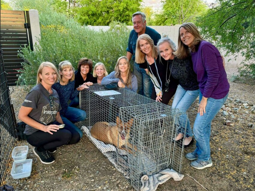 Humane Animal Rescue and Trapping Team rescues Rio on Paradise Valley resident Diana Thomas&rsquo; property April 27 after starting the search for the dog in July 2023.