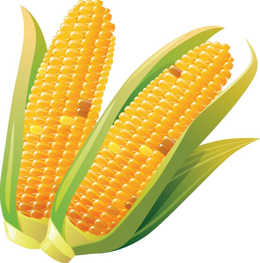 Sweet Corn Market is held every Saturday in Fountain Hills from 8 to 11:30 a.m. at the Tractor Supply Company parking lot.