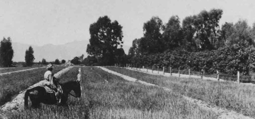 The P.W. Litchfield Heritage Center will celebrate the cowboy legacy of the Southwest Valley on Saturday, March 22.