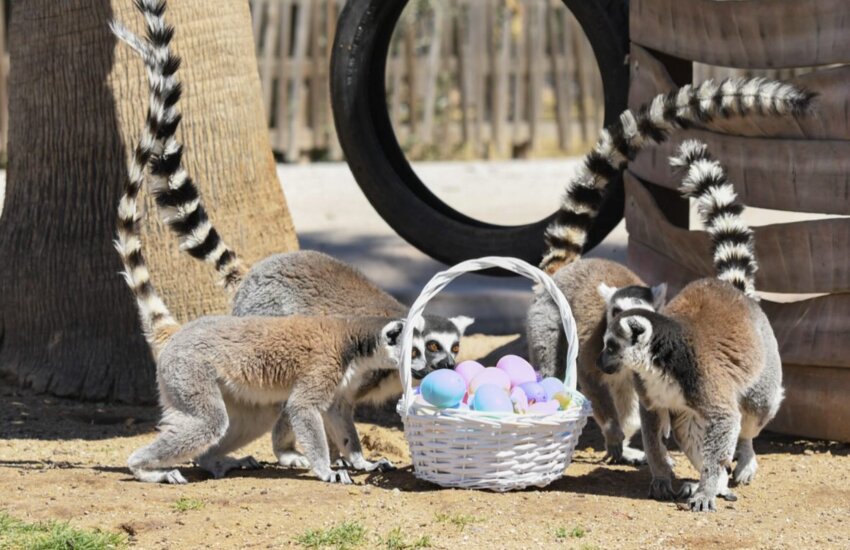 Wildlife World Zoo hosts an egg hunt April 19 and 20.