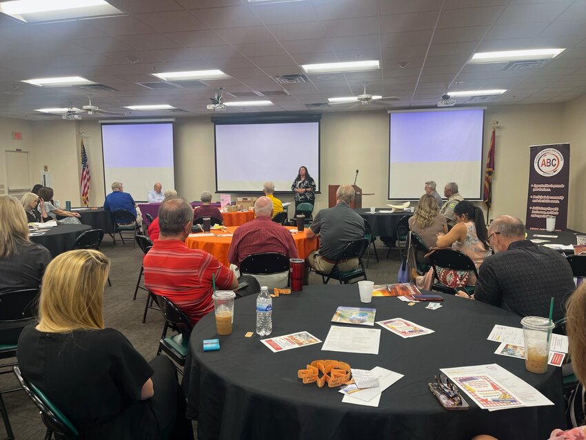 Sun City West Alliance of Business and Community President Lisa Gill spoke during the June 10 meeting.
