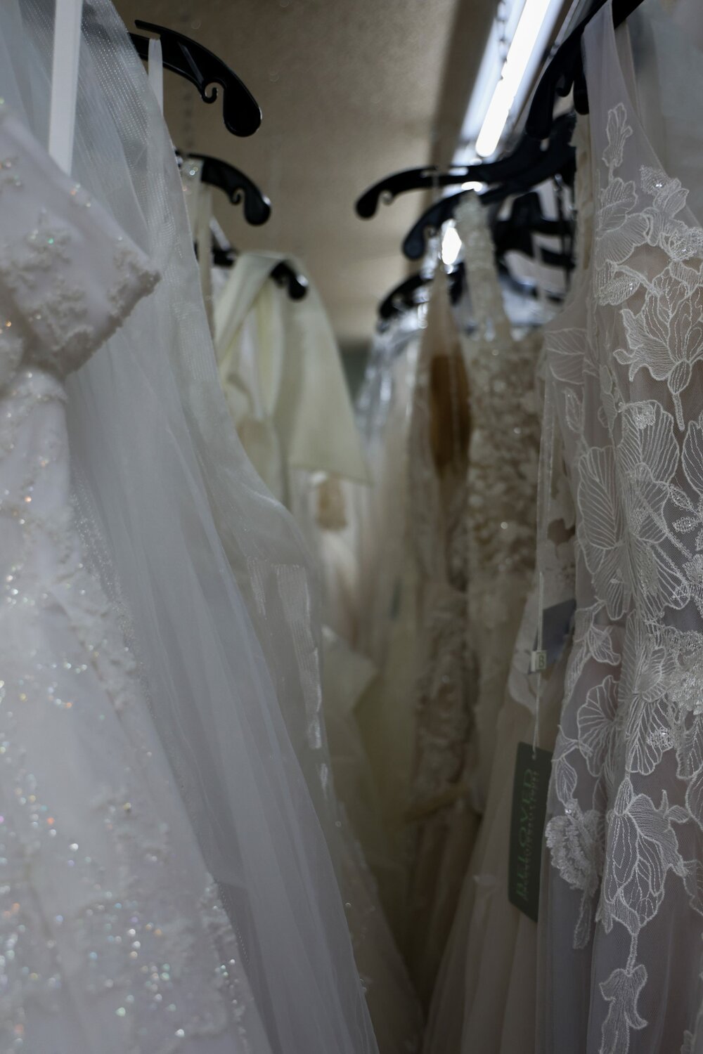 Wedding dresses hang from racks at Azteca Bridal in Phoenix on Nov. 21, 2023. (Photo by Sam Volante/Cronkite News)