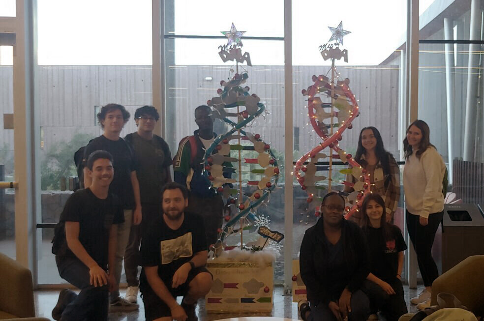 Biology students at Central Arizona College has modeled two Christmas trees from the two strands of DNA in a chromosome.