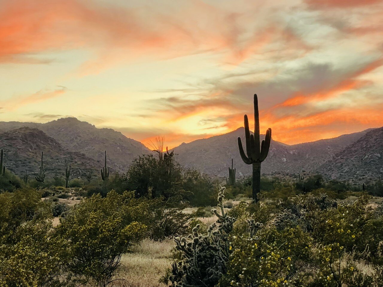 Scenic Arizona Photo Gallery (May 20-26) | Daily Independent